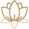 Gràfic que simbolitza una flor de lotus